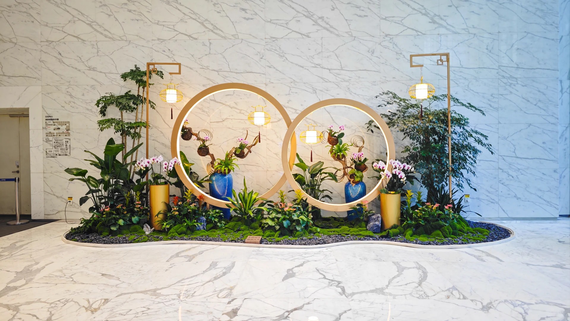 专业植物租摆，前湾公司为您精心打造