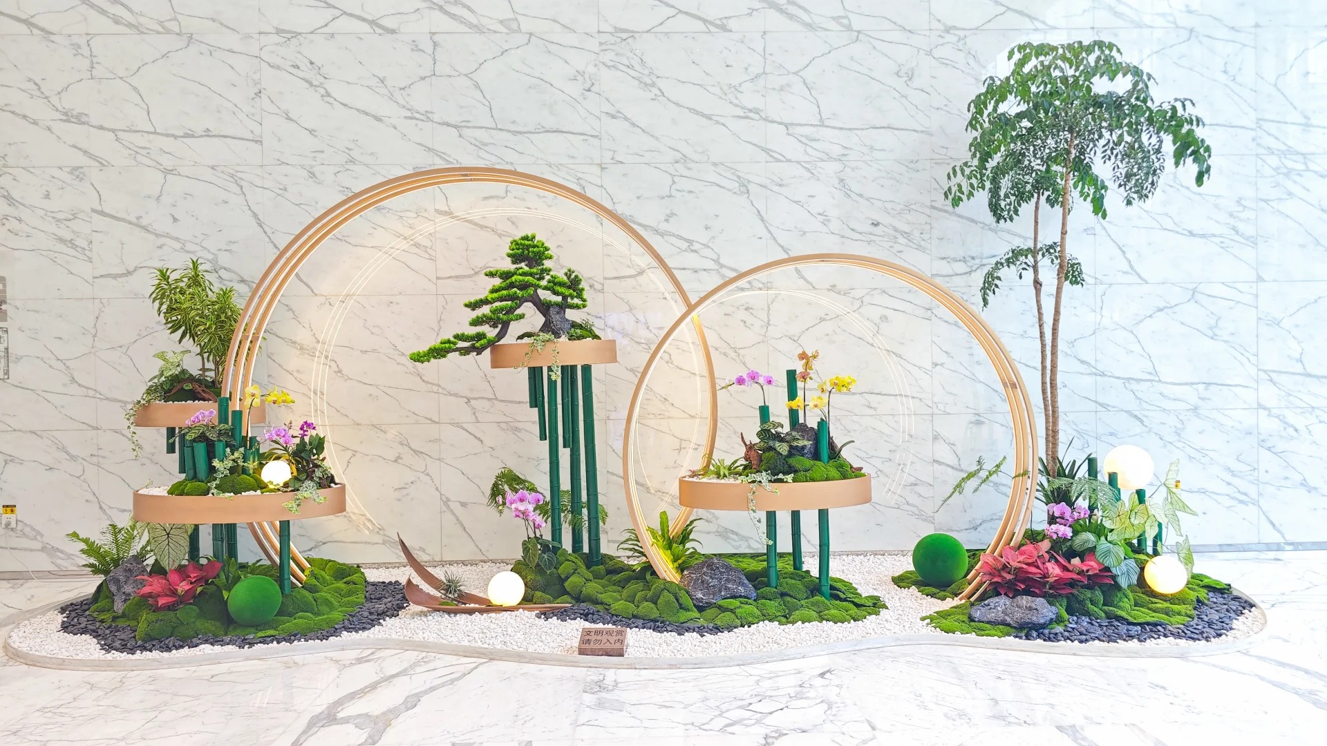 专业花木出租助力宁波前湾，焕新您的环境之美